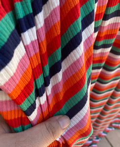 Zinnia Multicolor Stripe Ribbed Knit